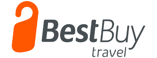 Best Buy Travel