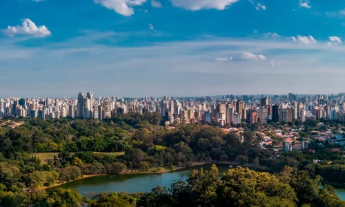Zona-sul